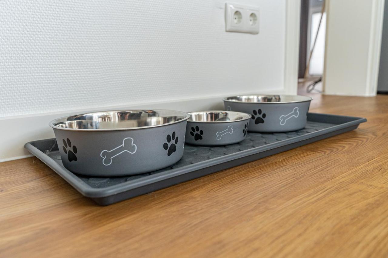 Appartement Nr 7 Im Sonnenbad 萨斯尼茨 外观 照片
